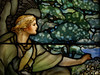 David Huting > Philadelphia's First Presbytarian Church photo