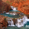 David Huting > Havasupai Indian Reservation, AZ >  beaver-falls