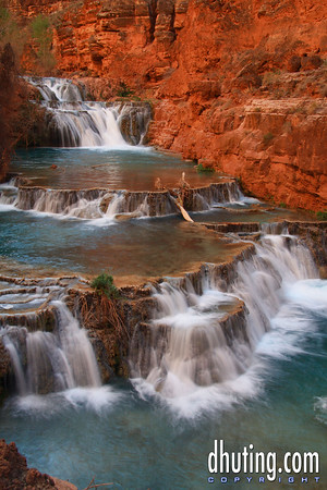 David Huting > Havasupai Indian Reservation, AZ >  beaver-vertical