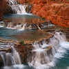 David Huting > Havasupai Indian Reservation, AZ >  beaver-vertical