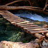 David Huting > Havasupai Indian Reservation, AZ >  Bridge Near Navajo Falls