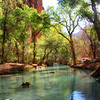 David Huting > Havasupai Indian Reservation, AZ >  campsite-vertical