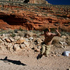 David Huting > Havasupai Indian Reservation, AZ >  Happy to be There