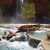 David Huting > Havasupai Indian Reservation, AZ >  Reflecting at Havasupai