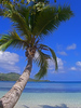 Fiji Islands (2006) (UPDATED) : The Yasawa Islands, Fiji...paradise.   Pictures from my week-long stay back in 2006, taken on my first "real" camera (a Casio point & shoot.) (Updated May 2009)