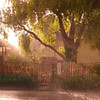 David Huting > Rainstorm in the Sunshine