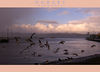 David Huting > Posters & Panoramics photo