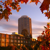 David Huting > Glorious Fall Sunrise
Wrest Point Casino
Hobart, Tasmania