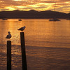 David Huting > Early Morning Sunrise
Hobart