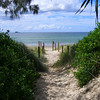 David Huting > Tropical Walk to Byron Bay