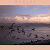David Huting > Hobart, Tasmania photo