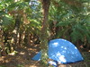 David Huting > Camping in the middle of nowhere
Styx Valley, Tasmania