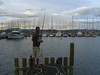David Huting > Fishing down at the harbor, in Hobart 
(15 min walk from our house.)