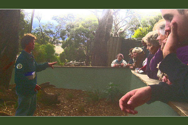 David Huting > Australian Wildlife >  a DAY at the zoo