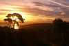 David Huting > Golden Sunset
Bruny Island, Tasmania