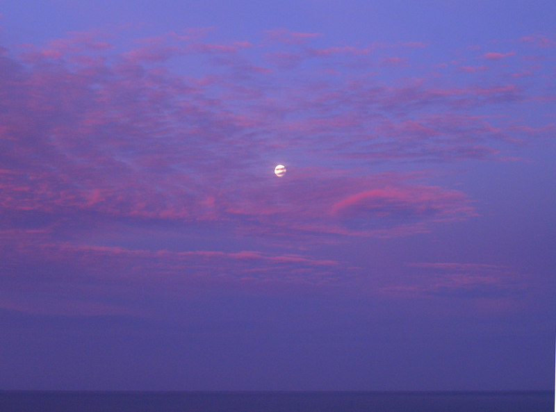 David Huting > Moonlight over the Beach
Bruny Island, Tasmania
