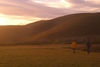 David Huting > Road Trip: Bruny Island, Tasmania photo