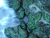 David Huting > Shoreline Macro
(Photo: MC)