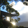 David Huting > View of Wellington