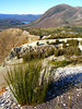 David Huting > Day 2 - In the Middle of Nowhere

This was on the way to Cradle Mountain, near Queenstown. We were in the middle of nowhere!