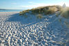 David Huting > Day 5 - Bay of Fires

This Beach is about 5 miles from our campsite; the entire area offers pristine unexplored beaches!