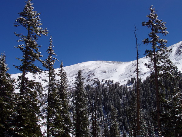 David Huting > Rocky Mtn National Park, CO
June 2005