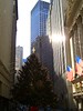 David Huting > Christmas Time in NYC
December 2005