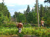 David Huting > Crane  Lake 2006 photo
