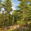David Huting > Bright Summer Day in the Boundary Waters
