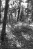 David Huting > Crane  Lake 2006 photo